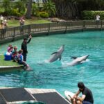 چڑیا گھر کو چڑیا گھر کیوں کہتے ہیں؟ دلچسپ اتفاق