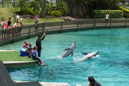 چڑیا گھر کو چڑیا گھر کیوں کہتے ہیں؟ دلچسپ اتفاق