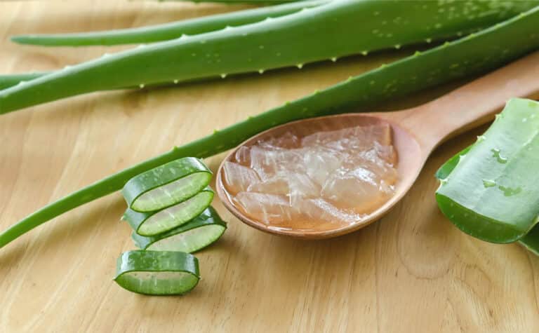 Explore the Secrets of Radiant Skin with the World’s Best Aloe Vera Gel