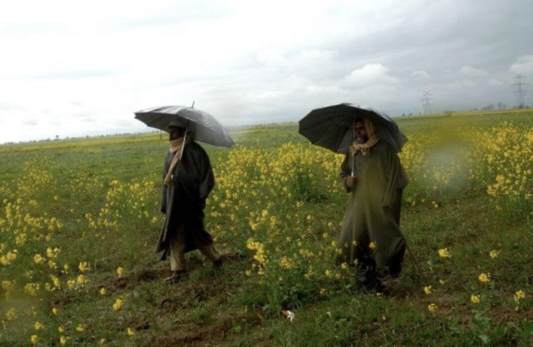 Govt Empowering Agriculture in AJK- Livestock and Agriculture Departments Forge Strong Farmer Connections
