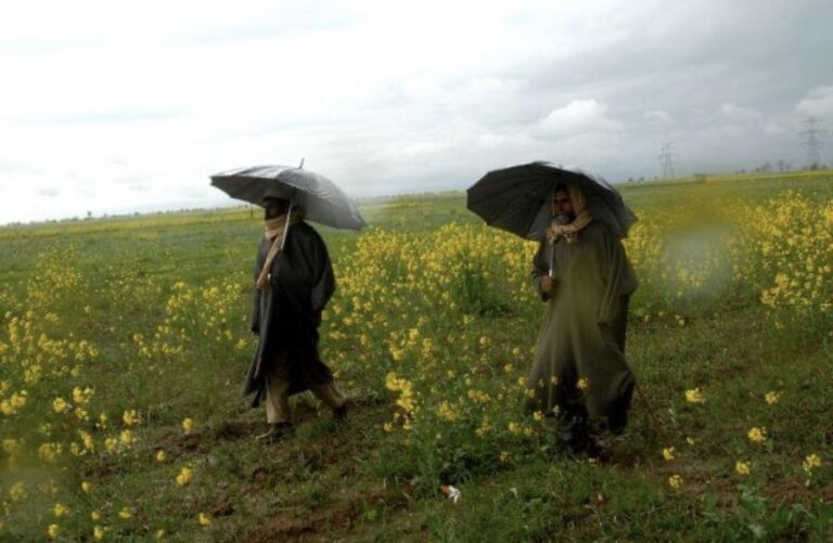 Govt Empowering Agriculture in AJK- Livestock and Agriculture Departments Forge Strong Farmer Connections
