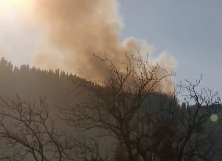 Fire Breaks Out Suddenly in Leepa Valley Jungle