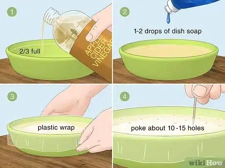 Advanced Pest Management Strategies: A Professional Approach to Eradicating Fruit Flies