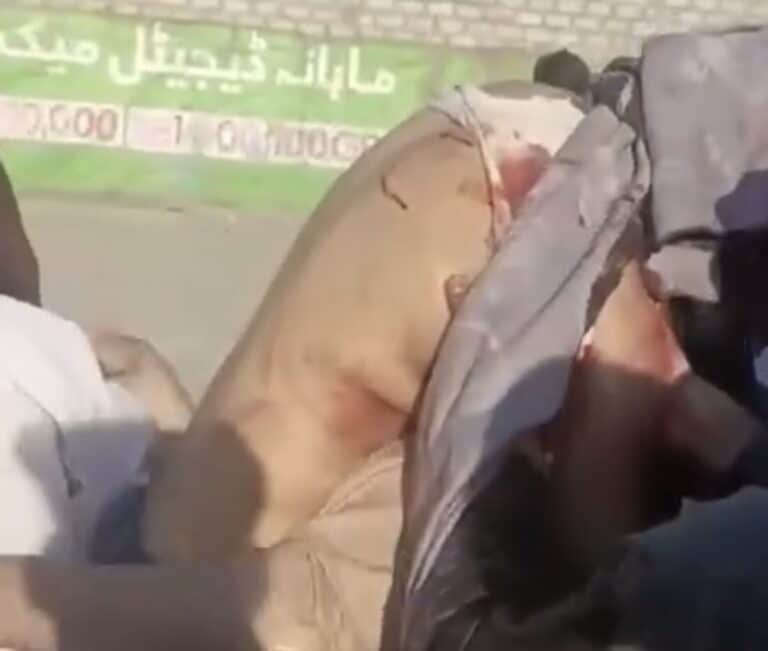 Tragic Incident Unfolds as Pakistani Rangers Fire at Protesters in Muzaffarabad, Claiming a Life