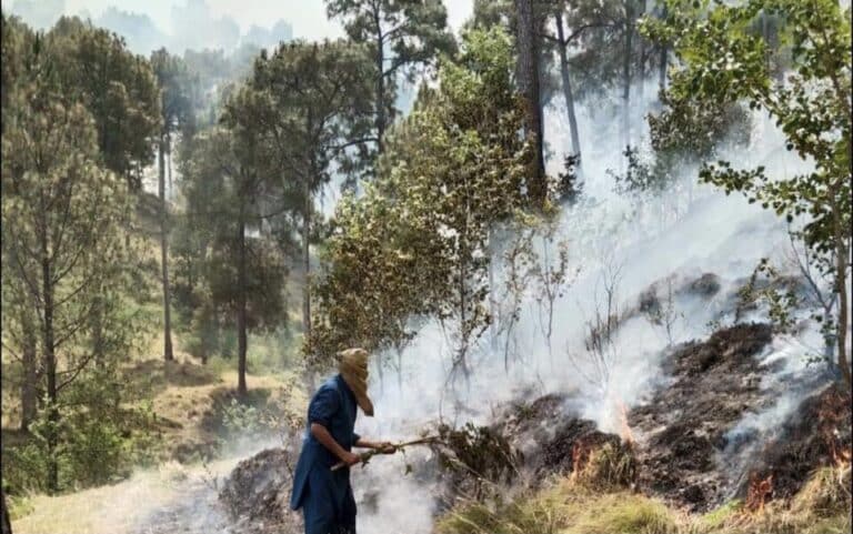 Forest Fire Erupts in Samahni, Community Mobilizes to Control the Blaze
