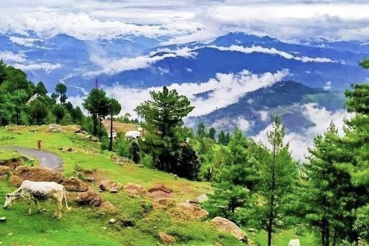 Tourism Festival Announced in Char Biyar, Sudhnoti, Azad Jammu and Kashmir