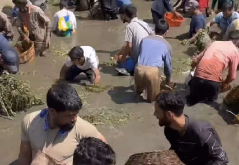 Kashmir Tradition: Rohan Posh Festival Unites Communities in Qazigund’s Panzath Village