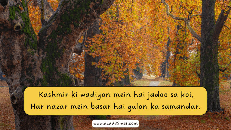 Kashmir ki wadiyon mein hai jadoo sa koi