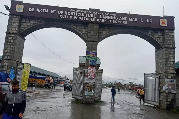 Sopore: Asia’s Second-Largest Fruit Market, A Symbol of Modernization