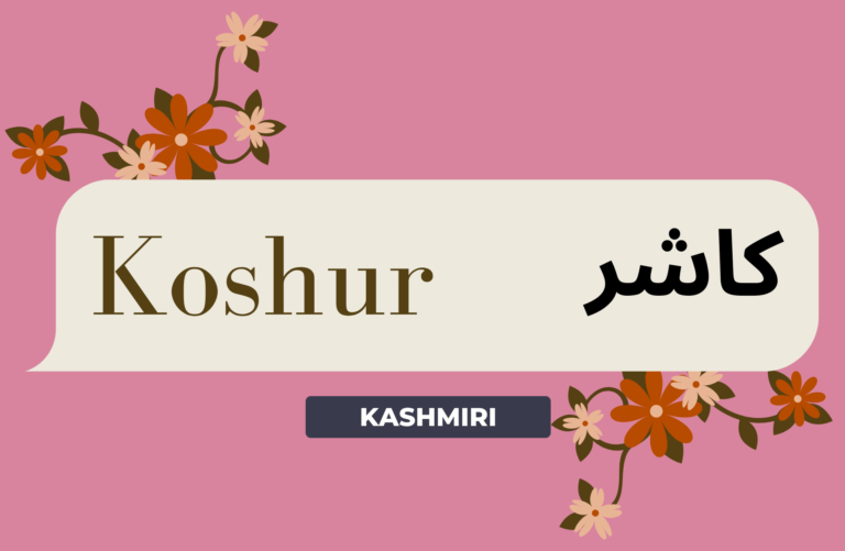 The Languages of Jammu, Kashmir, Gilgit-Baltistan, and Ladakh: A Rich Tapestry of Cultures and Traditions