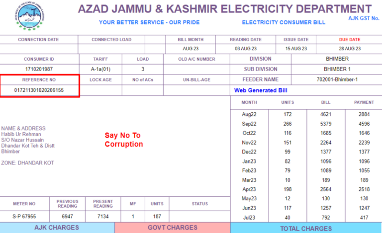 AJK Electricity Bill Online: Simplify Payments with Barkiyat Portal – Step-by-Step Guide