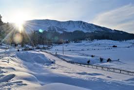 Chillai-Kalan: The Majestic Winter King of Kashmir