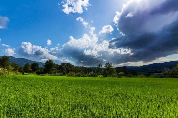 Dry but Freezing Weather Persists in Azad Kashmir