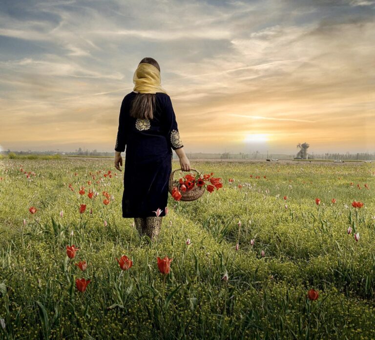 Kashmir’s Red Gold: Inside Pampore’s Saffron Fields and the Battle to Save Them