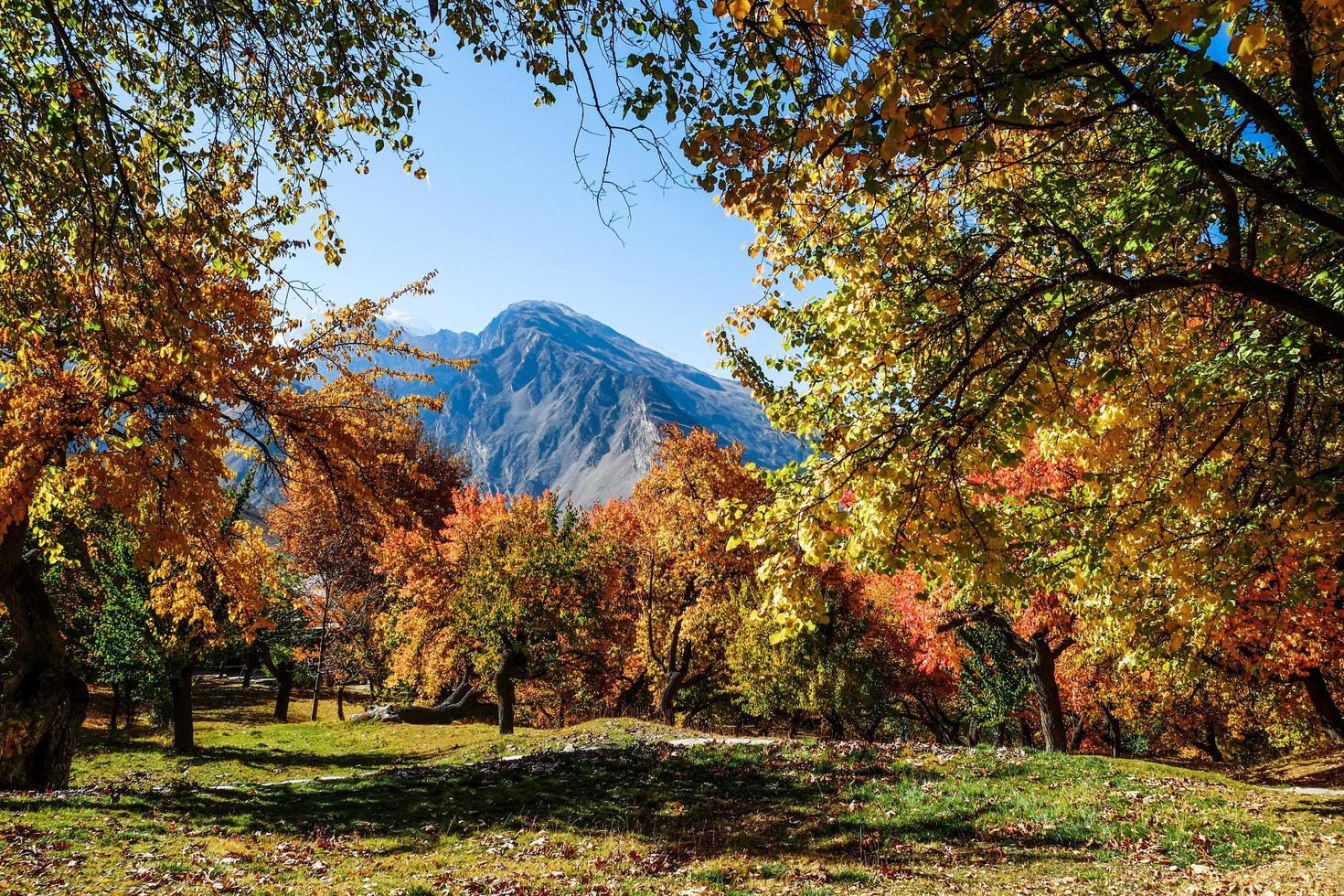 Hunza Valley with autumn colors