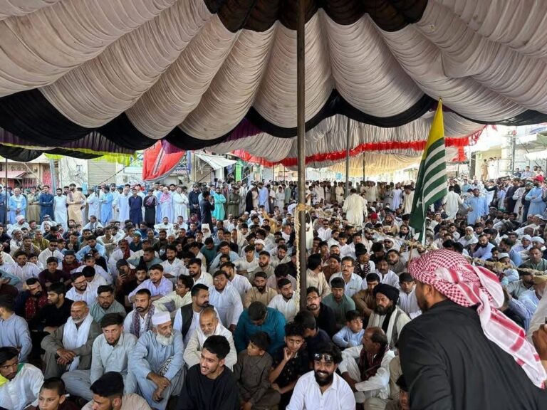 Jammu Kashmir Awami Action Committee Protests Lack of Facilities in Dadyal