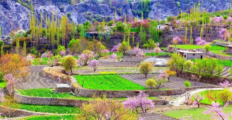 Skardu Travel Guide: Explore Natural Wonders, Cultural Heritage & Adventure in Gilgit-Baltistan