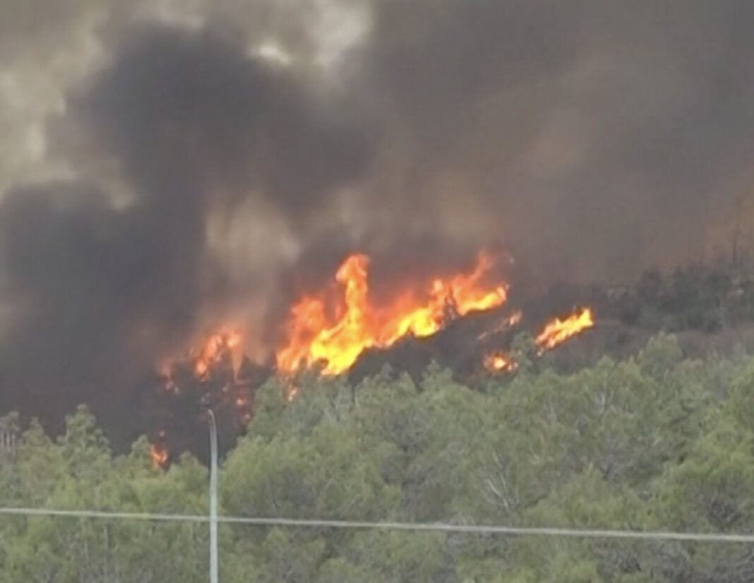 Israel Fire Crisis: Historic Wildfire Forces Evacuations Near Jerusalem