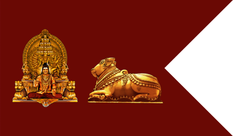 Kailasa Country: Swami Nithyananda’s Fantasy Nation and the Global Scam that Fooled the World