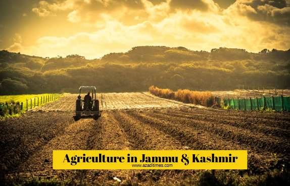 Agriculture in Jammu and Kashmir: Cultivating Hope in the Himalayan Highlands