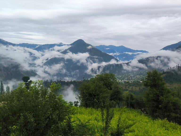Two-Week Monsoon Downpour Cools Kashmir, Turning Valleys into Verdant Havens