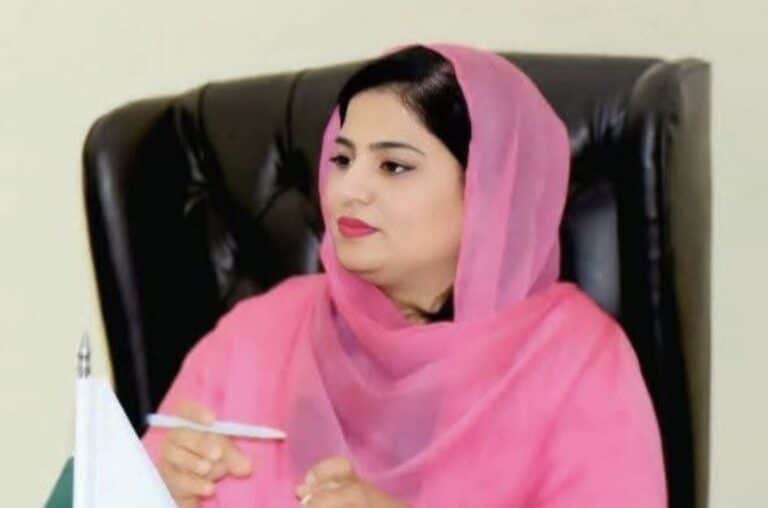 Landslide Risk in Jhelum Valley: Deputy Commissioner Urges Citizens to Avoid Unnecessary Travel