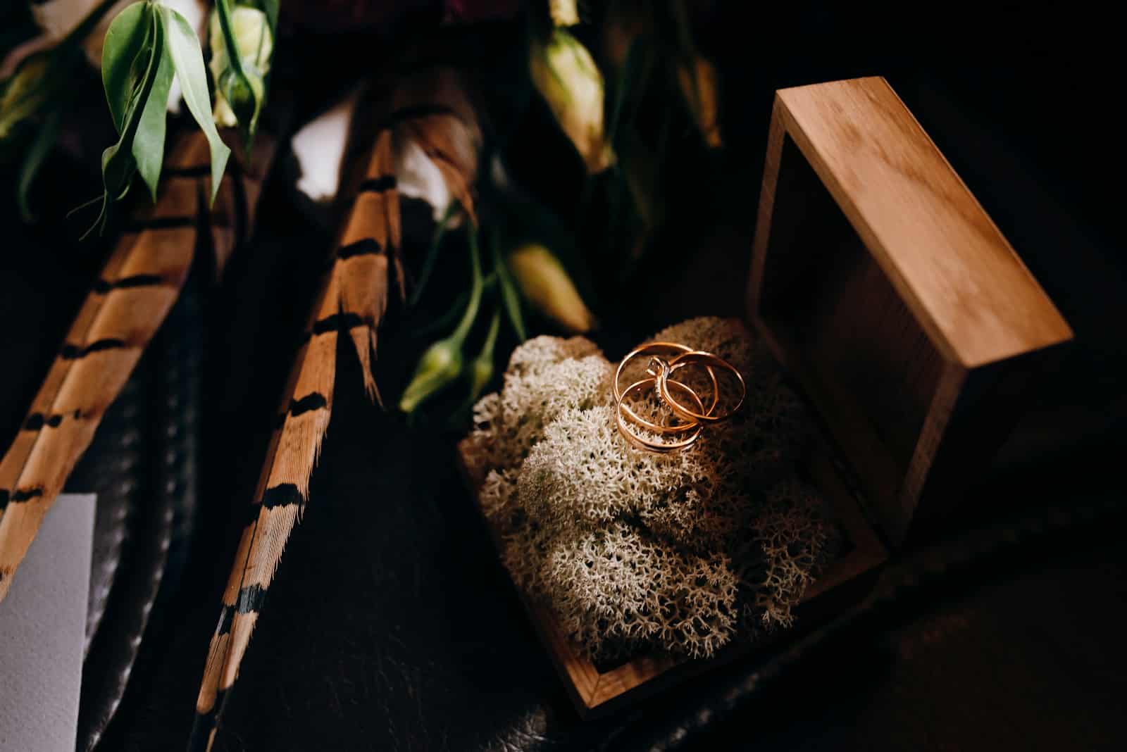 What Is the Strongest Natural Antibiotic for Tooth Infection?