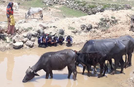 Relentless Rains Devastate Mahore: Hundreds of Homes Collapse in Reasi, Families Displaced