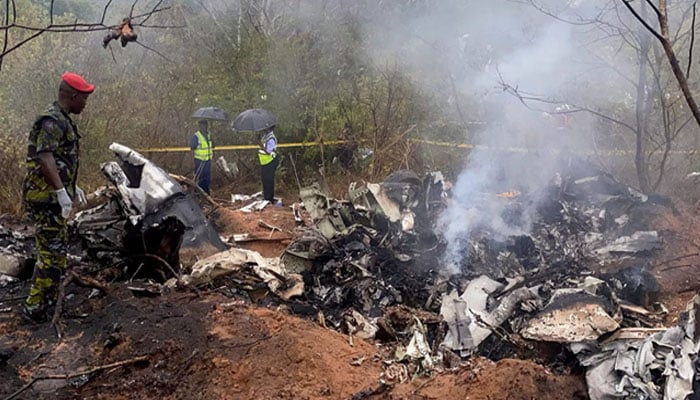 Kenya Plane Crash: All 11 Passengers, Including Foreign Tourists, Killed in Tragic Accident