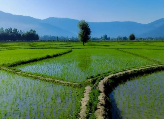 In Search of Kashmir’s Hidden Valleys