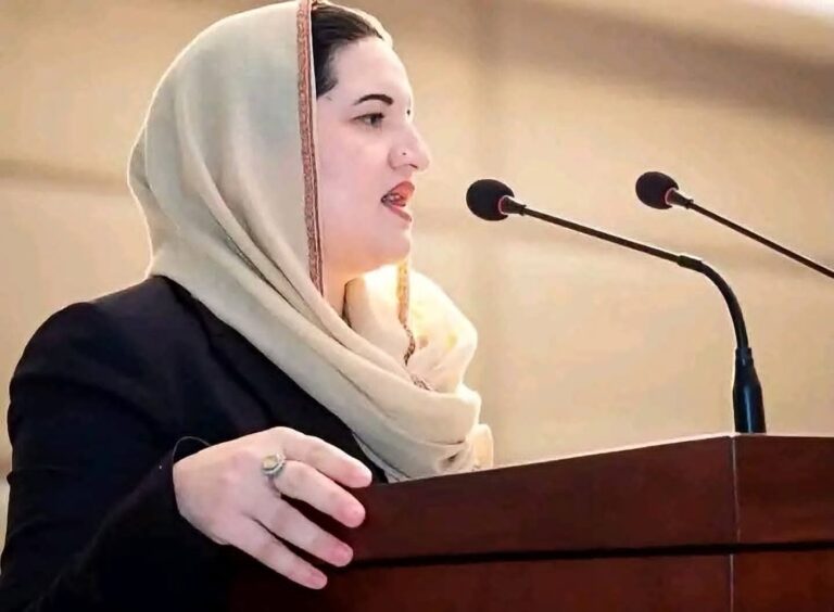 J&K Democratic Party Chairperson Nabila Irshad Detained in Islamabad, Rawalpindi Home Raided